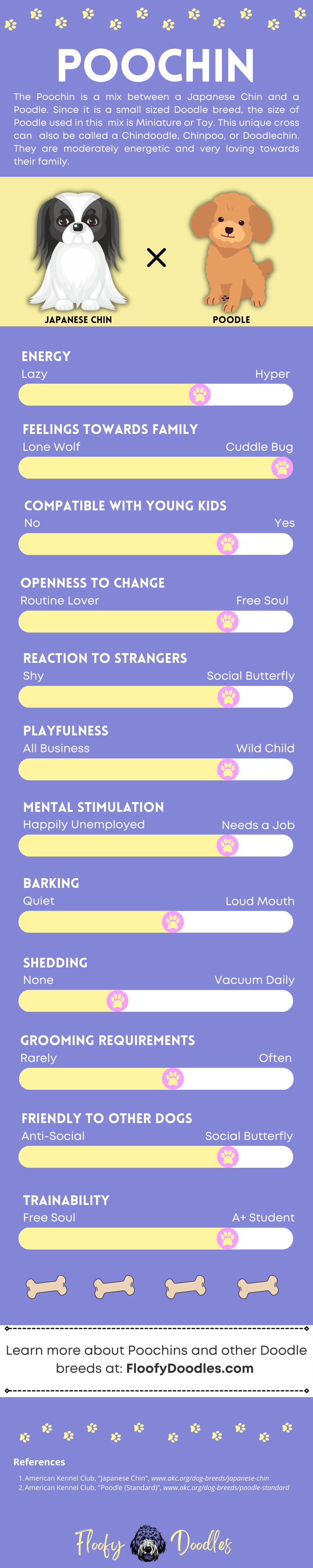 Visual summary of the traits and characteristics of the Poochin