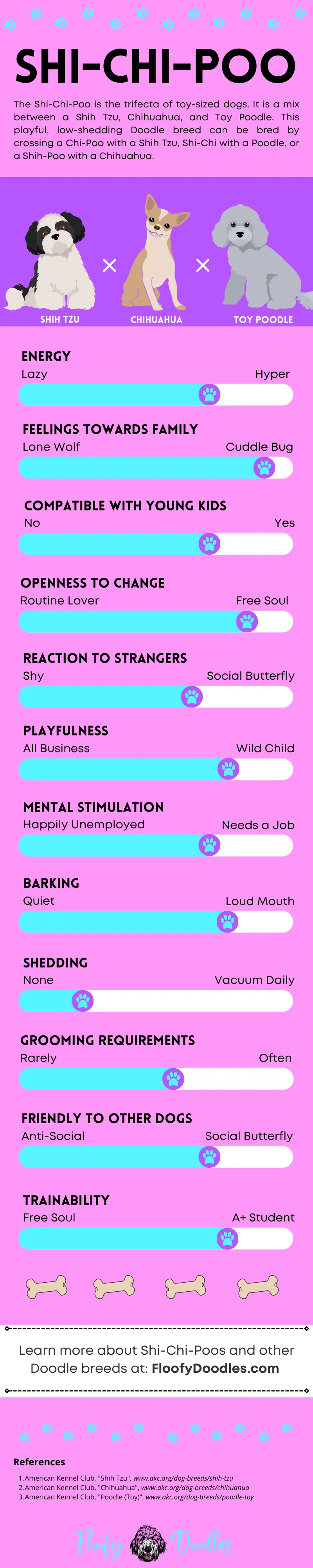 Visual summary of the different traits and characteristics of the Shih Tzu-Chihuahua-Poodle mix.