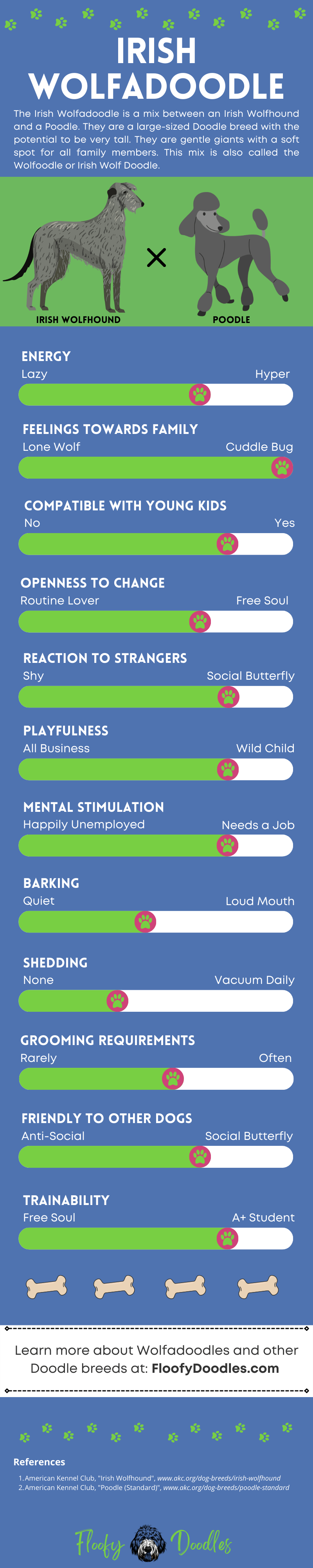 Visual summary of the traits and characteristics of the Irish Wolfadoodle.