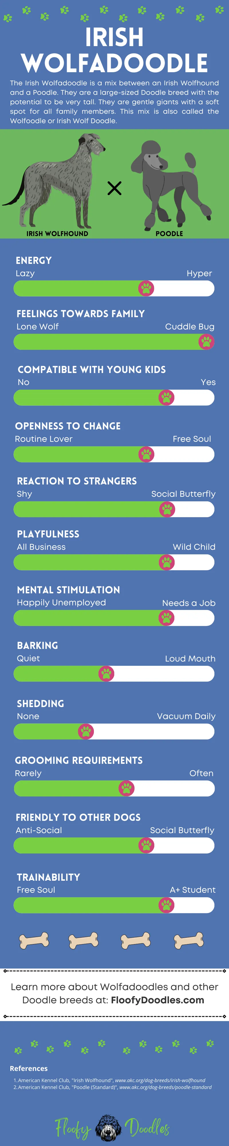 Visual summary of the traits and characteristics of the Irish Wolfadoodle.