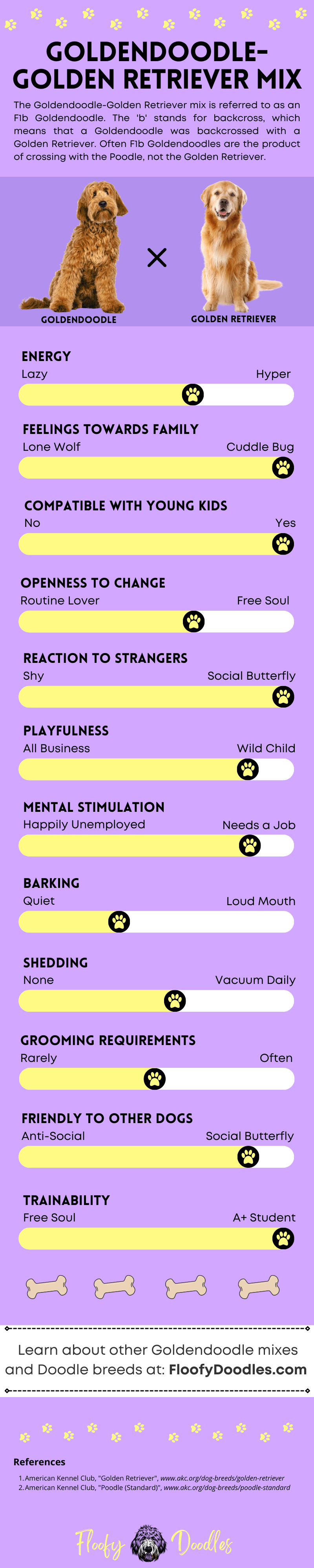 Visual summary of the traits and characteristics of the Goldendoodle-Golden Retriever cross