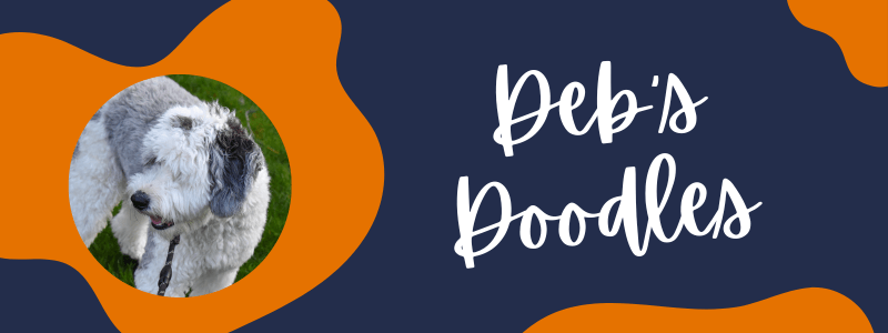 Decorative orange and navy banner with a Sheepadoodle dog next to text saying "Deb's Doodles".