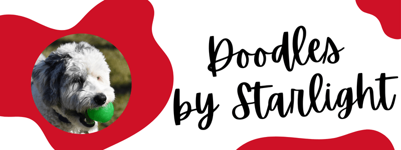 Red and white decorative banner with a Sheepadoodle dog and text saying "Doodles by Starlight".