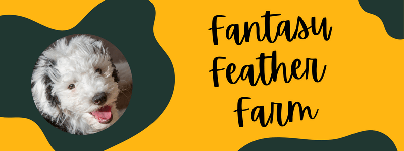 Decorative green and yellow banner with a Sheepadoodle dog next to text saying "Fantasy Feather Farm".