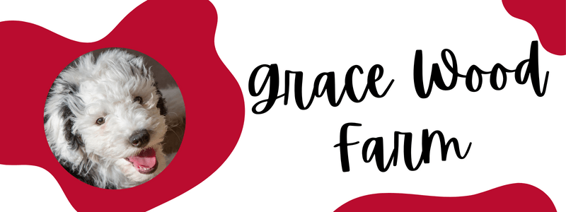 Red and white decorative banner with a Sheepadoodle and text saying "Grace Wood Farm".