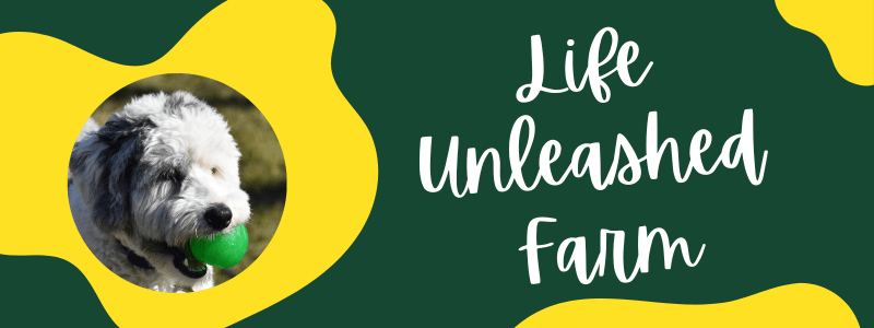 Decorative yellow and green banner with a Sheepadoodle dog next to text saying "Life Unleashed Farm".