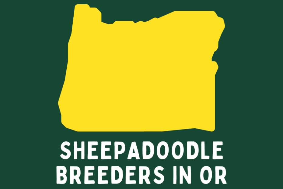 State of Oregon with text below saying "Sheepadoodle Breeders in OR".