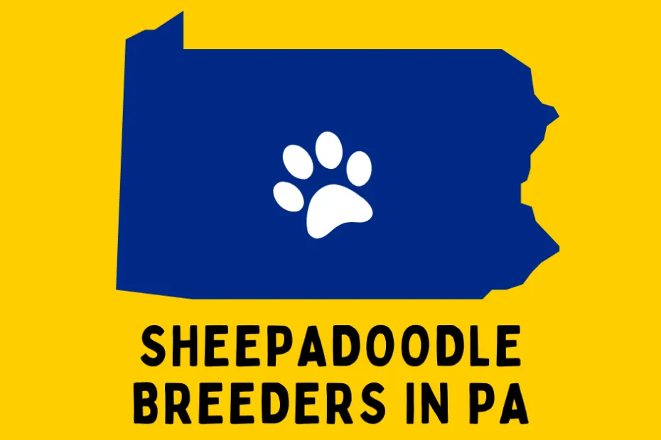 The state of Pennsylvania with text below reading "Sheepadoodle Breeders in PA".