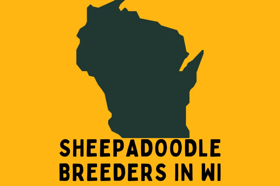 State of Wisconsin with text below saying "Sheepadoodle Breeders in WI".
