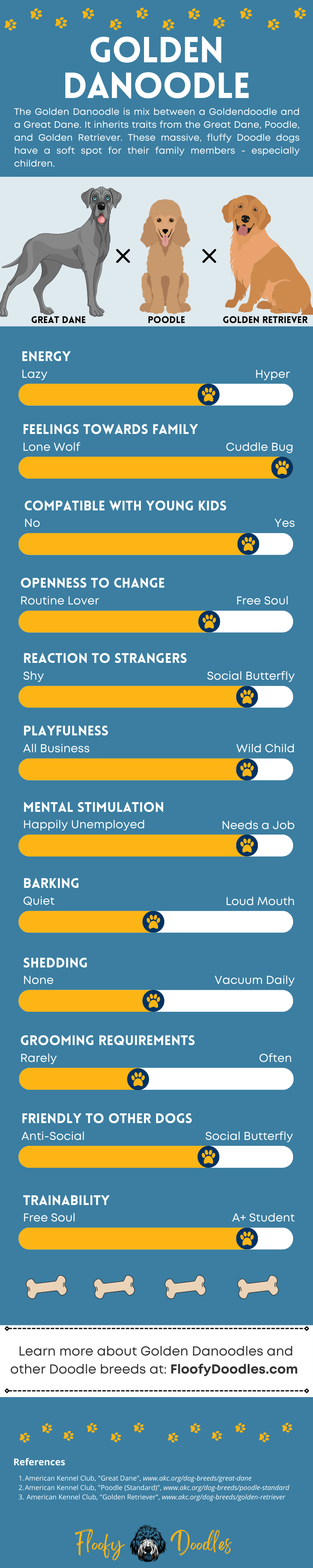 Infographic showing the different traits and characteristics of the Great Dane-Goldendoodle mix.