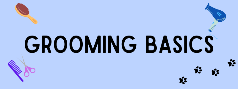 Decorative blue-colored banner with text saying "Grooming Basics".