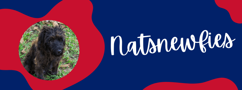 Decorative banner with the colors of the UK flag and a Newfypoo dog next to text saying "Natsnewfies".