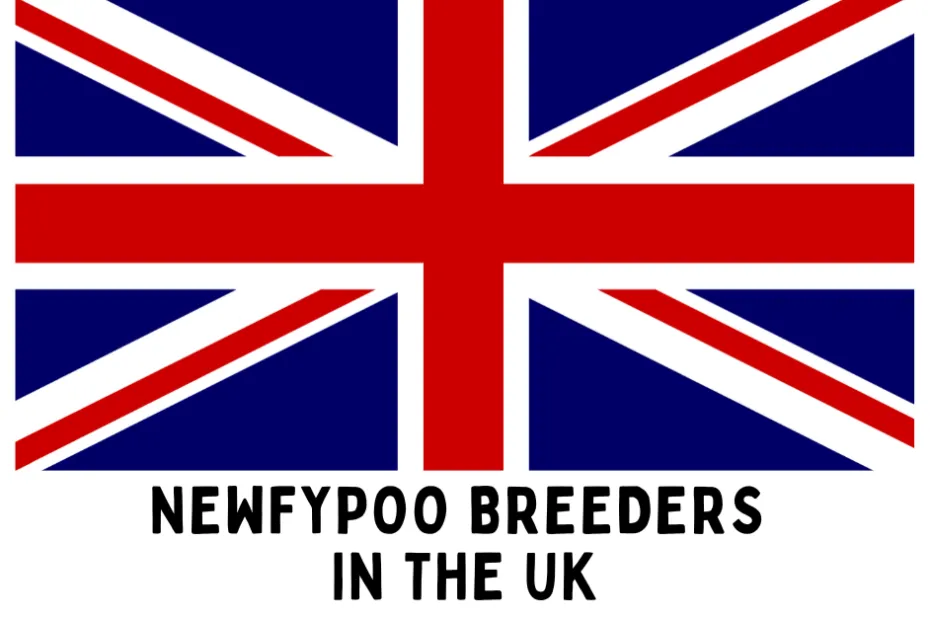 The flag of the United Kingdom with text below saying "Newfypoo Breeders in the UK".