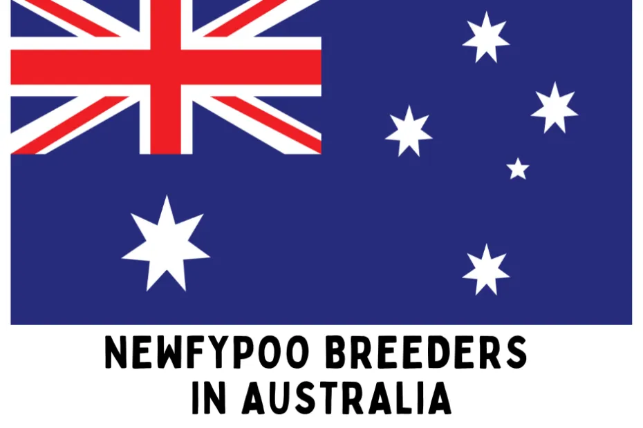The Australian flag with text below saying "Newfypoo Breeders in Australia".