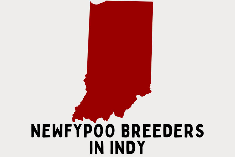 State of Indiana with text below reading "Newfypoo Breeders in Indy".