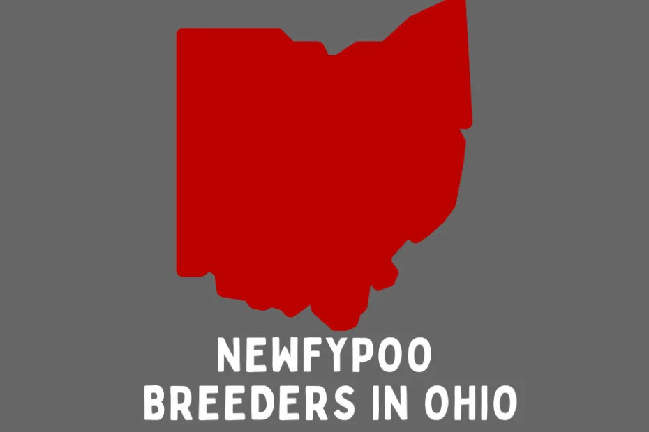 State of Ohio with text below that says "Newfypoo Breeders in Ohio".