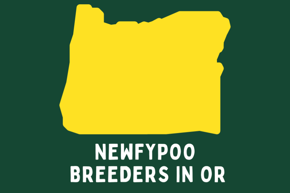 State of Oregon with text beneath saying "Newfypoo Breeders in OR".