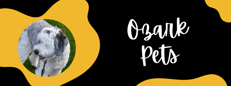 Decorative black and yellow banner with a Sheepadoodle dog next to text saying "Ozark Pets".