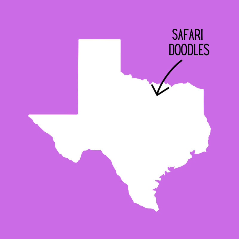 Outline of the state of Texas with an arrow pointing towards where Safari Doodles is located.
