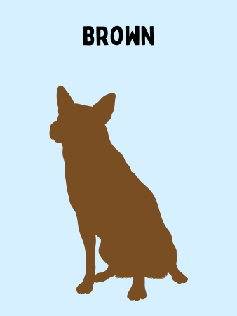 Graphic showing the silhouette of a brown Texas Heeler with a light blue background.