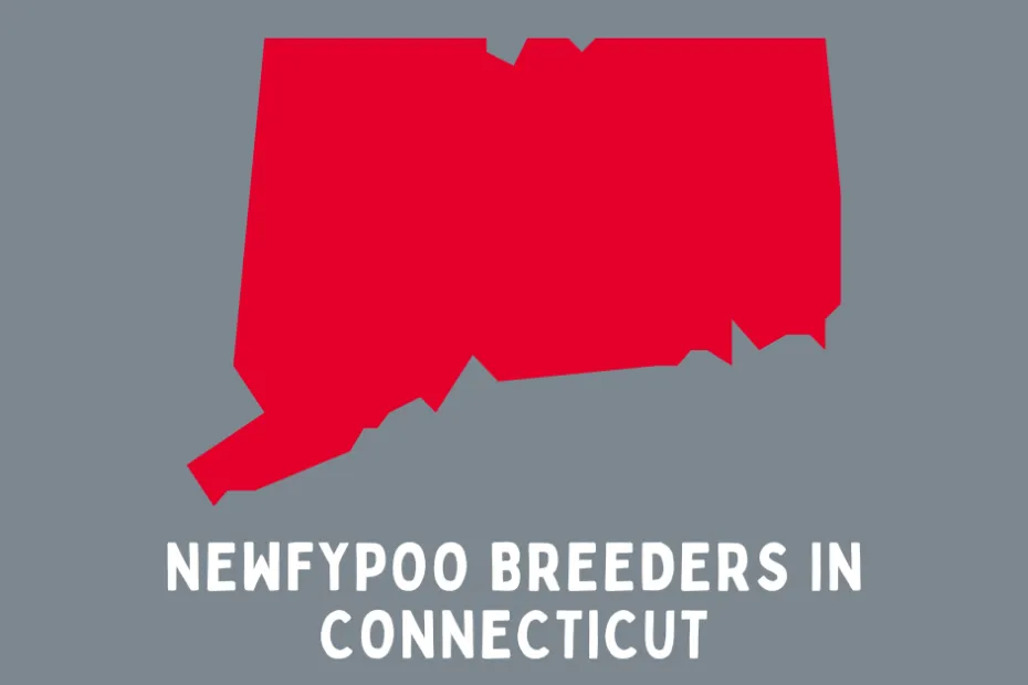 State of Connecticut in red with text below saying "Newfypoo Breeders in Connecticut". Grey background.