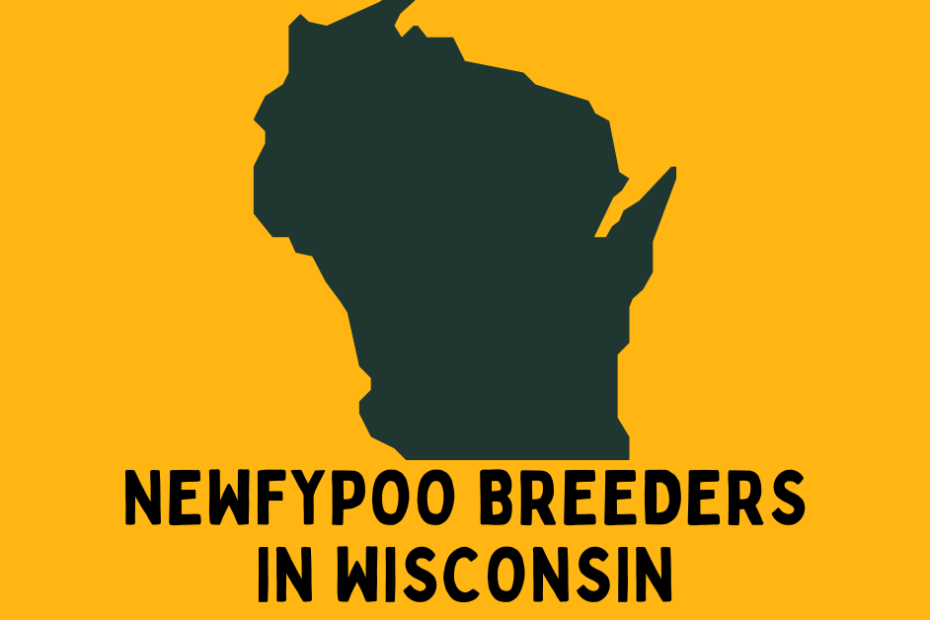 State of Wisconsin colored green with a yellow background and text below saying "Newfypoo Breeders in Wisconsin".