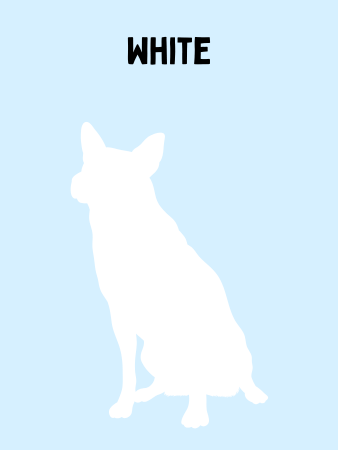 Graphic showing the silhouette of a white Texas Heeler with a light blue background.