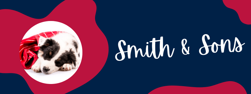 Decorative banner with blue and red colors featuring a Texas Heeler puppy and text next to it saying "Smith & Sons."