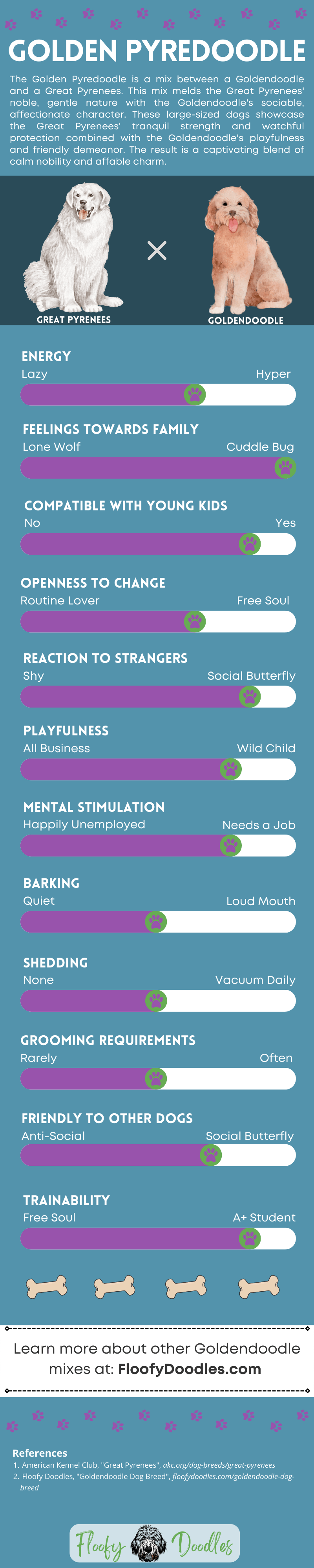 Teal and purple infographic showing the different traits and characteristics of the Goldendoodle-Great Pyrenees mix.