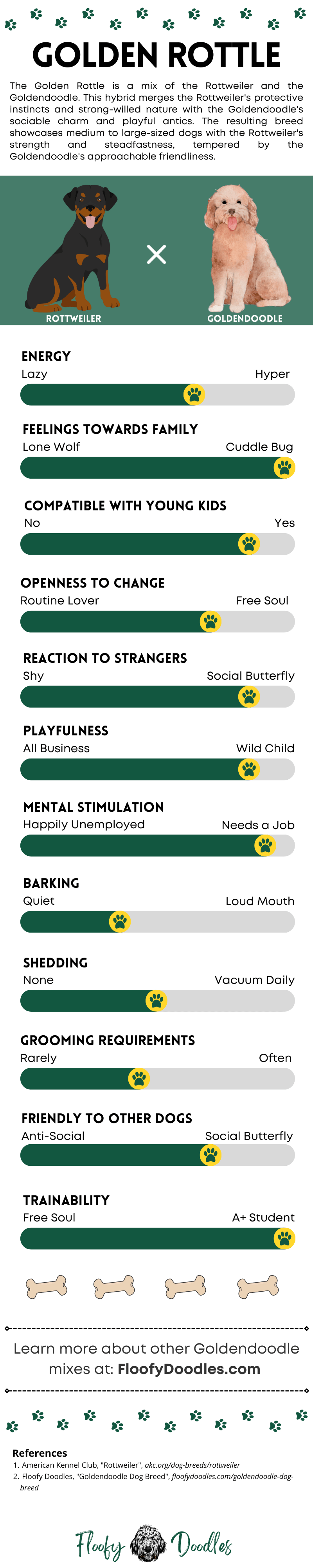 White and green infographic showing the different traits and characteristics of the Goldendoodle-Rottweiler mix.