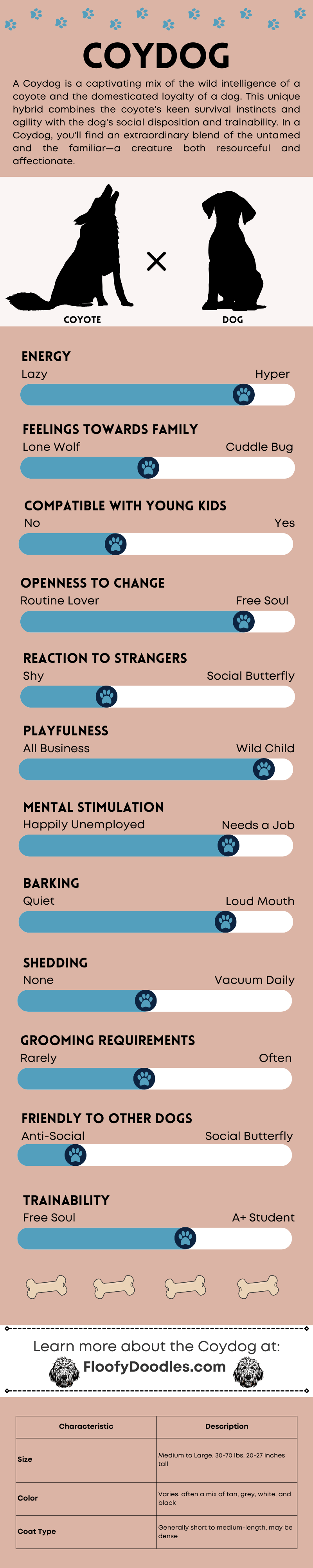 Coydog breed traits and characteristics.