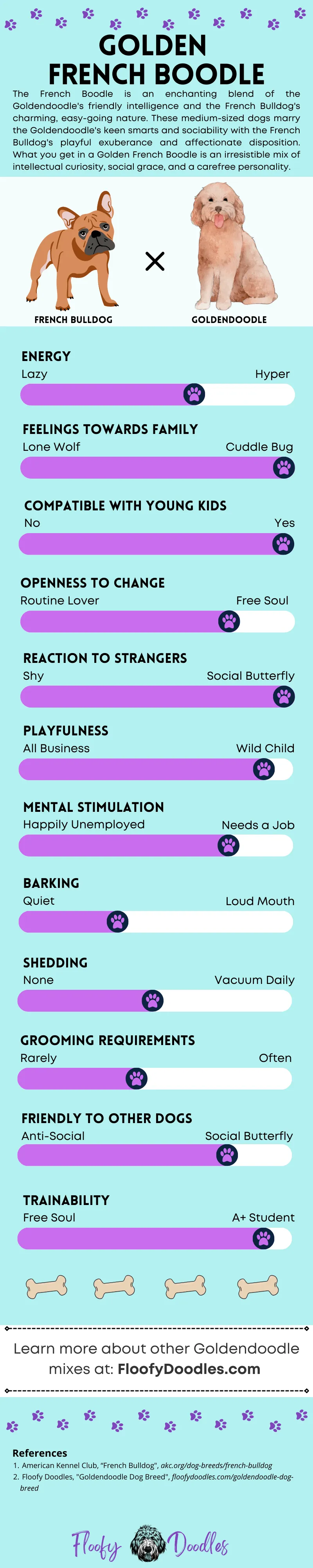 An infographic showing the different traits of a Goldendoodle mixed with a French Bulldog.
