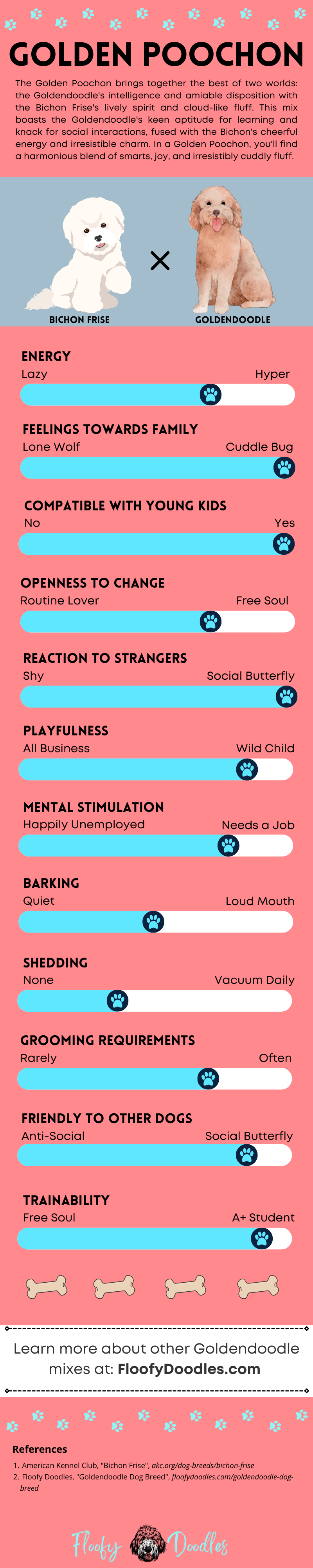 An infographic that summarizes the traits and characteristics of the Golden Poochon.