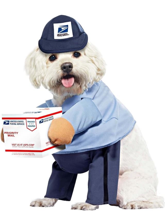 A dog dressed up as a postal worker holding a package.