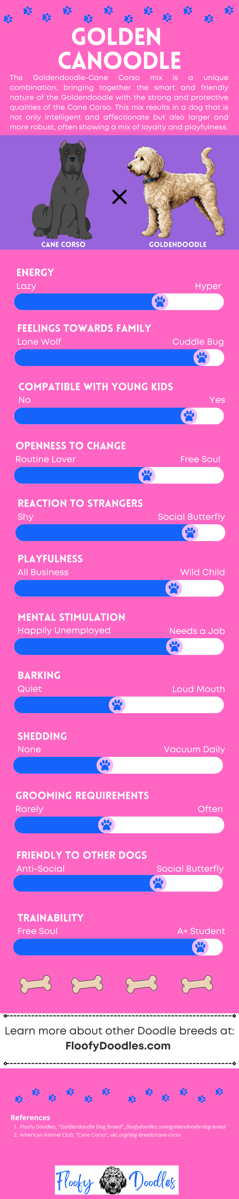 A pink infographic with the different traits of a Goldendoodle-Cane Corso mix.