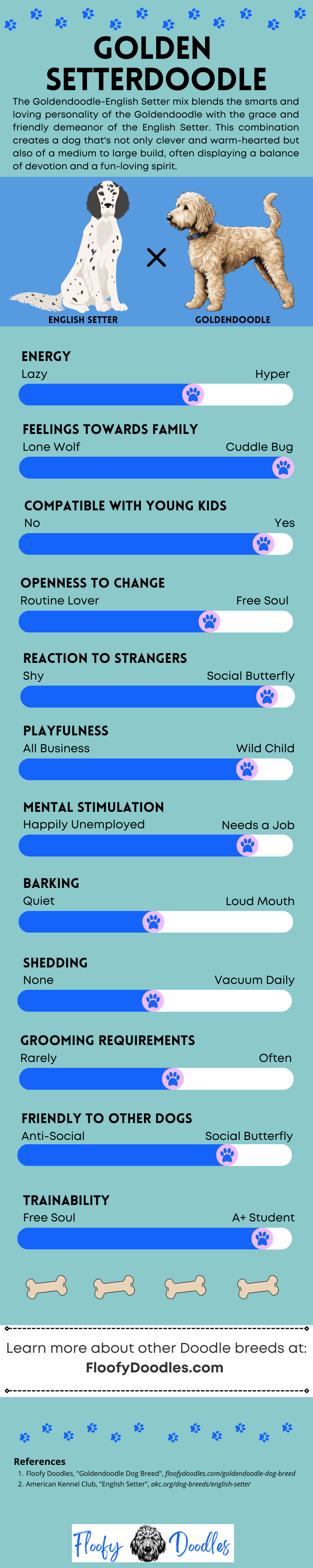 An infographic showing the different traits of the English Setter-Goldendoodle mix.