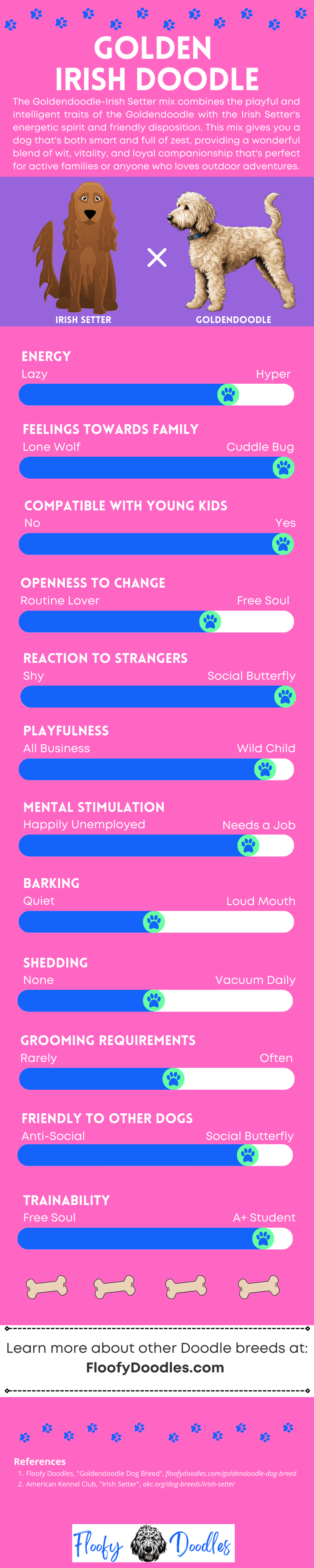 An infographic showing the different traits of the Irish Setter-Goldendoodle mix.