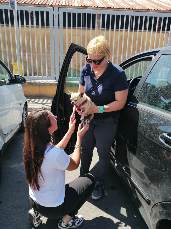 A woman petting a dog in front of a car.