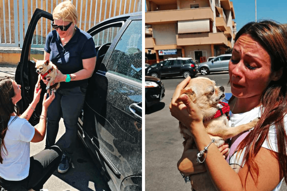 Two pictures of a woman holding a dog in front of a car.