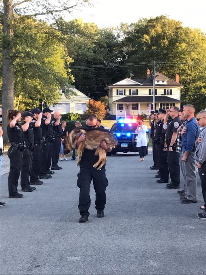 A police officer is holding a dog in front of a crowd of people.