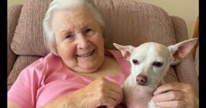 An elderly woman with short white hair sits on a pink armchair, smiling and holding a small light-colored dog in her lap.