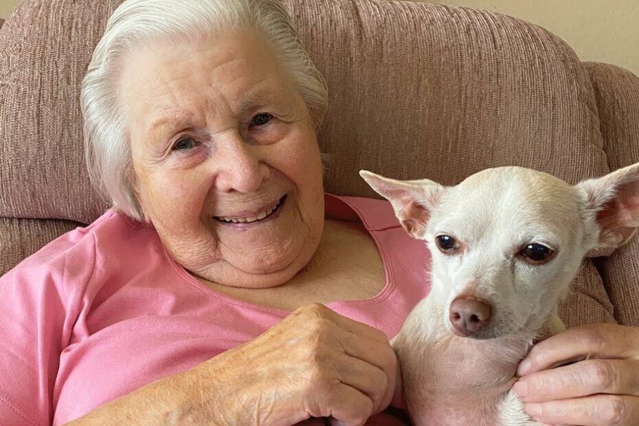 An elderly woman with short white hair sits on a pink armchair, smiling and holding a small light-colored dog in her lap.