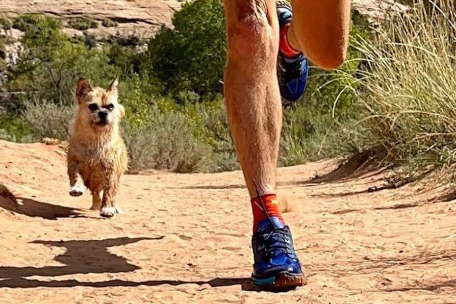 A person running on a dirt trail with a small dog following behind. Vegetation and sandy terrain are visible.