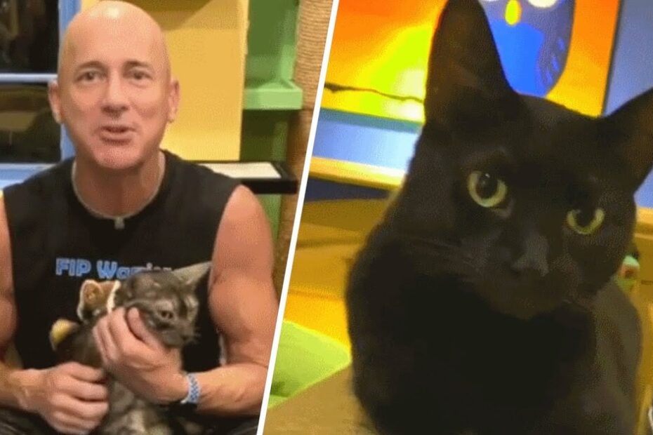 A man sits indoors holding a cat, with another close-up of a black cat on the right; both are in a colorful room.