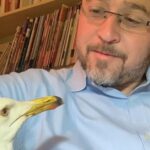 A man with glasses and a beard, wearing a light blue shirt, looks at a seagull perched close to him in a room with shelves of books in the background.
