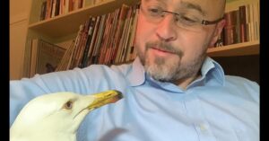 A man with glasses and a beard, wearing a light blue shirt, looks at a seagull perched close to him in a room with shelves of books in the background.