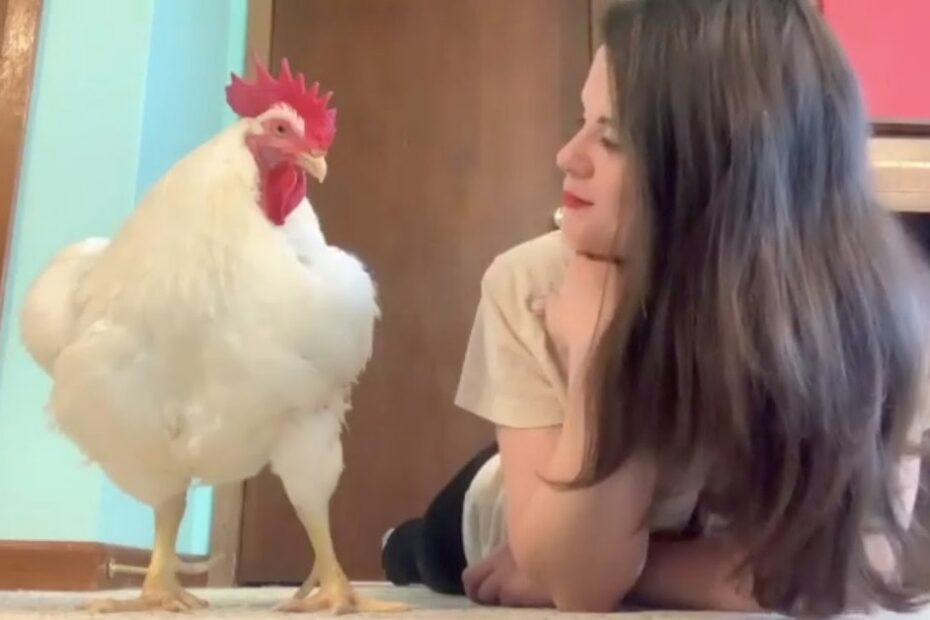A woman with long brown hair lies on the floor, smiling at a large white chicken standing next to her indoors.