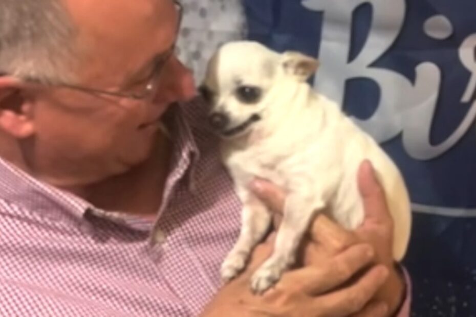 An older man in glasses and a pink checked shirt holds a small white chihuahua in front of a blue background with the word "Birthday" partially visible.