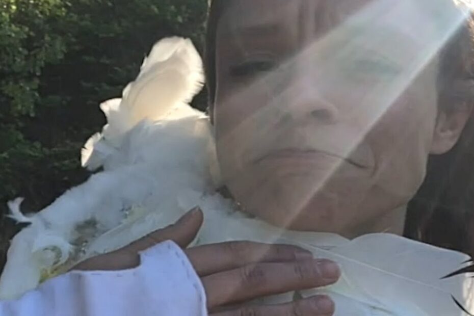 A person outdoors holds a white bird close to their shoulder, with sunlight streaming across their face and greenery in the background.