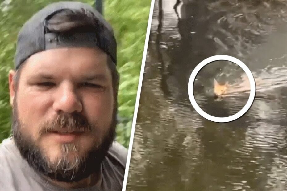 A bearded man in a cap is on the left; on the right, a circled animal swims toward the camera in murky water.